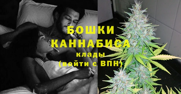 прущие крисы Белая Холуница