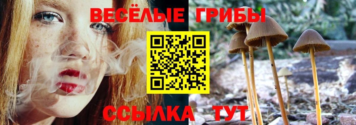 купить наркоту  Югорск  Галлюциногенные грибы Magic Shrooms 